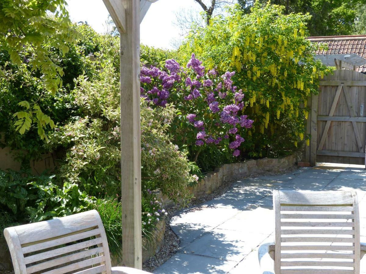 Pear Tree Cottages Wedmore Экстерьер фото